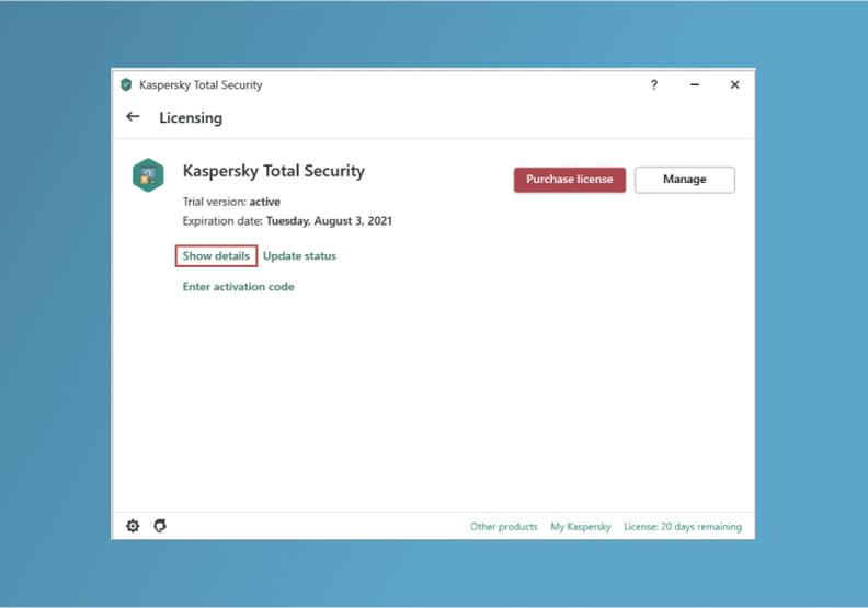 Kaspersky Standard